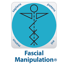 Μέθοδος Stecco, Fascia manipulation